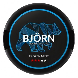 Saszetki nikotynowe BJORN Frozen Mint Medium 9,1mg